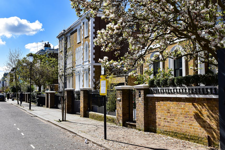 A residential street scene during daytime with a row of large, multi-story Victorian-style houses featuring brick facades, white window frames, and decorative architectural details. The sidewalk is lined with leafless trees and flowering trees with white blossoms, casting dappled shadows on the pavement. Several black iron fences and brick pillars mark the boundaries of the properties. A flatbed moving trolley loaded with cardboard boxes and wrapped furniture is visible near the entrance of one of the houses, with a Van visible further down the street, indicating ongoing home relocation or furniture transport. The street has a clearly marked lane for parking with some cars parked along the curb, and traditional street lamps are present along the pavement. The scene is illuminated by bright sunlight under a partly cloudy sky, with a few distant pedestrians and the overall atmosphere suggesting an active moving or packing process coordinated by Chelsea Removals, supporting house removal services for properties on Kings Road and Sloane Square.